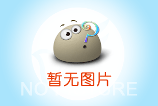 建筑預制構件吊裝用鋼絲繩電動葫蘆